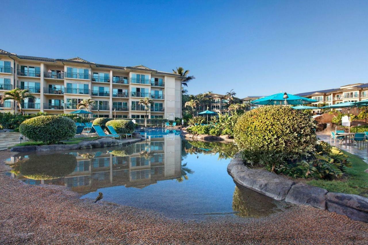 Waipouli Beach Resort Beautiful Luxury Ground Level Garden View Ac Pool! Kapa'a Eksteriør billede